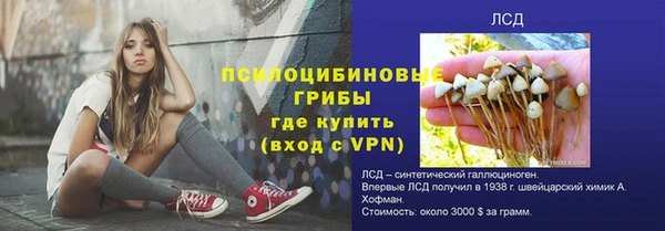дмт Богородицк