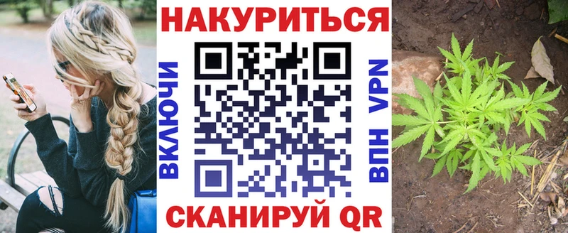 Бошки Шишки ГИДРОПОН  Онега 